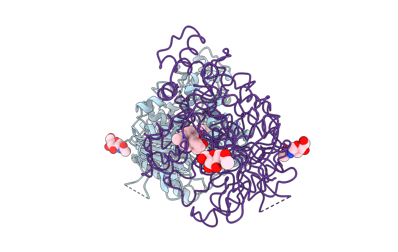 1W76 image
