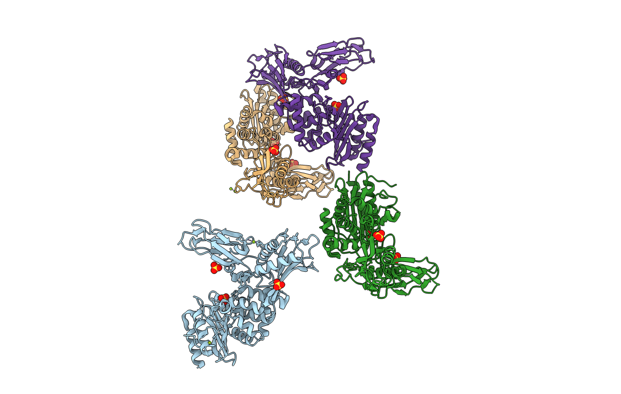 1W79 image