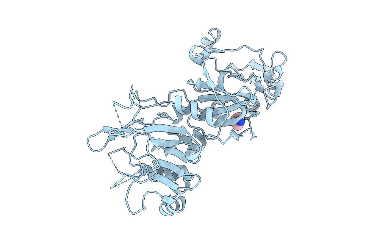 1W8K image