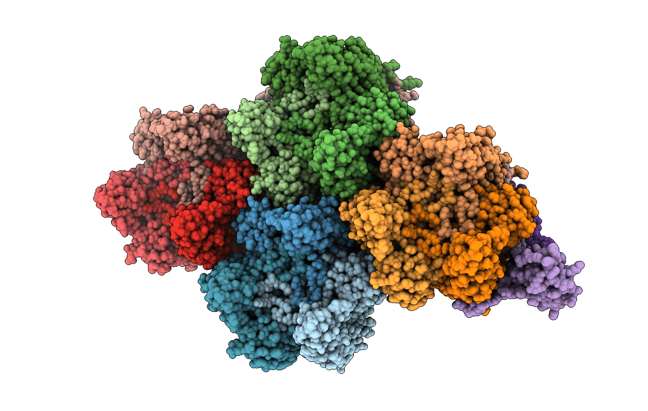 1W8X image