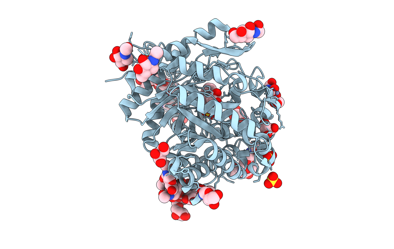 1W9D image