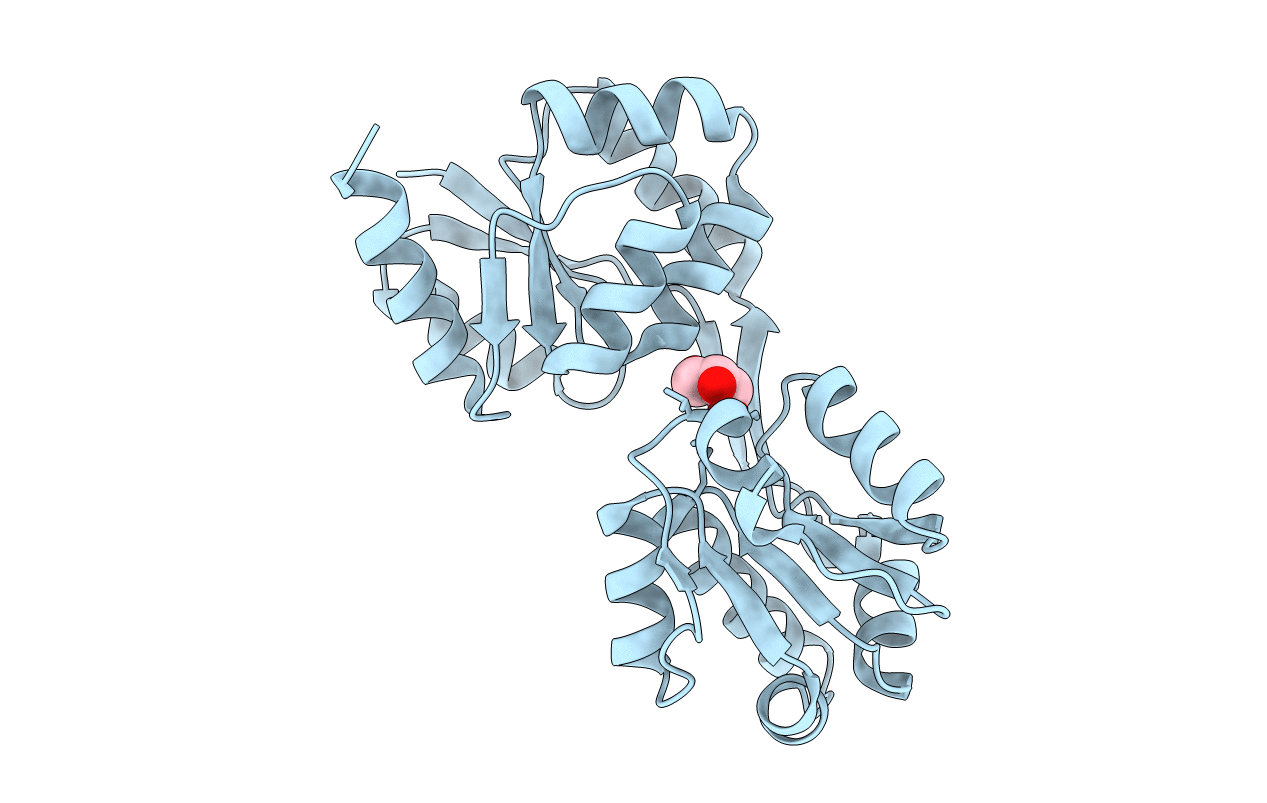 1WCX image