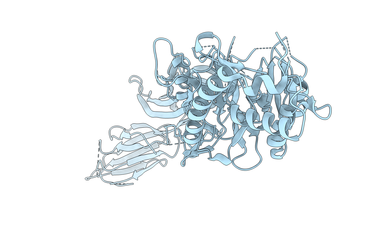 1WD8 image
