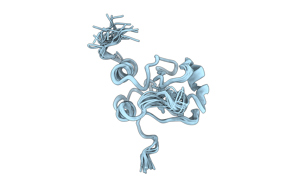 1WMJ image