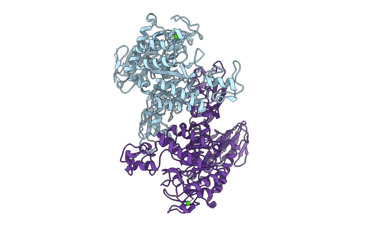 1WZM image