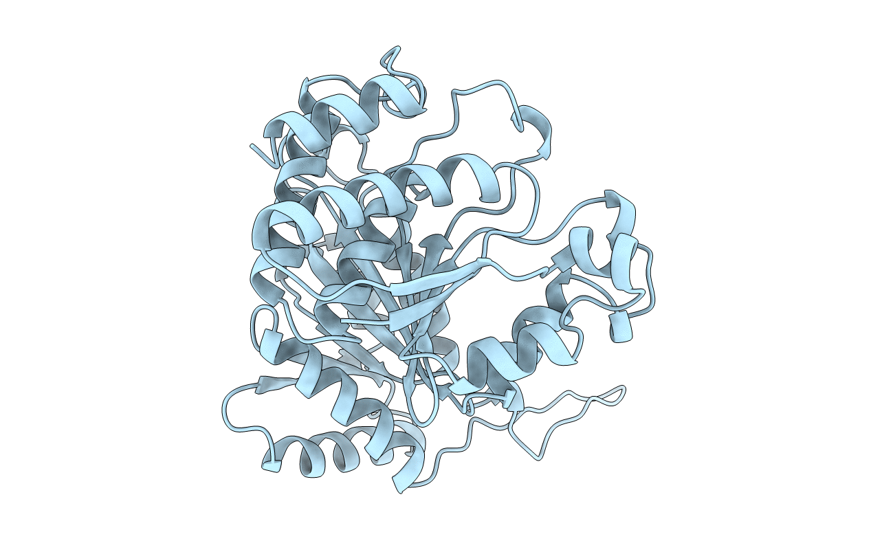1XAA image