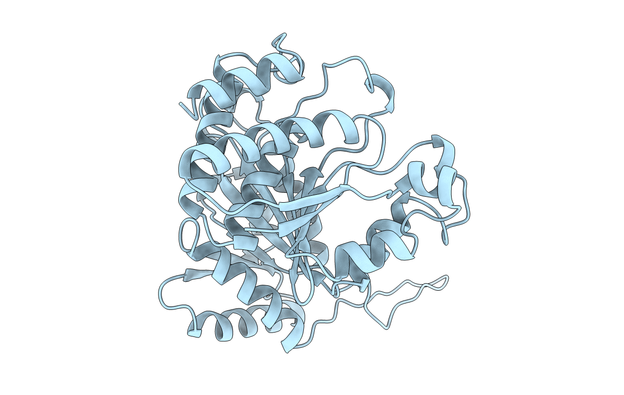 1XAB image