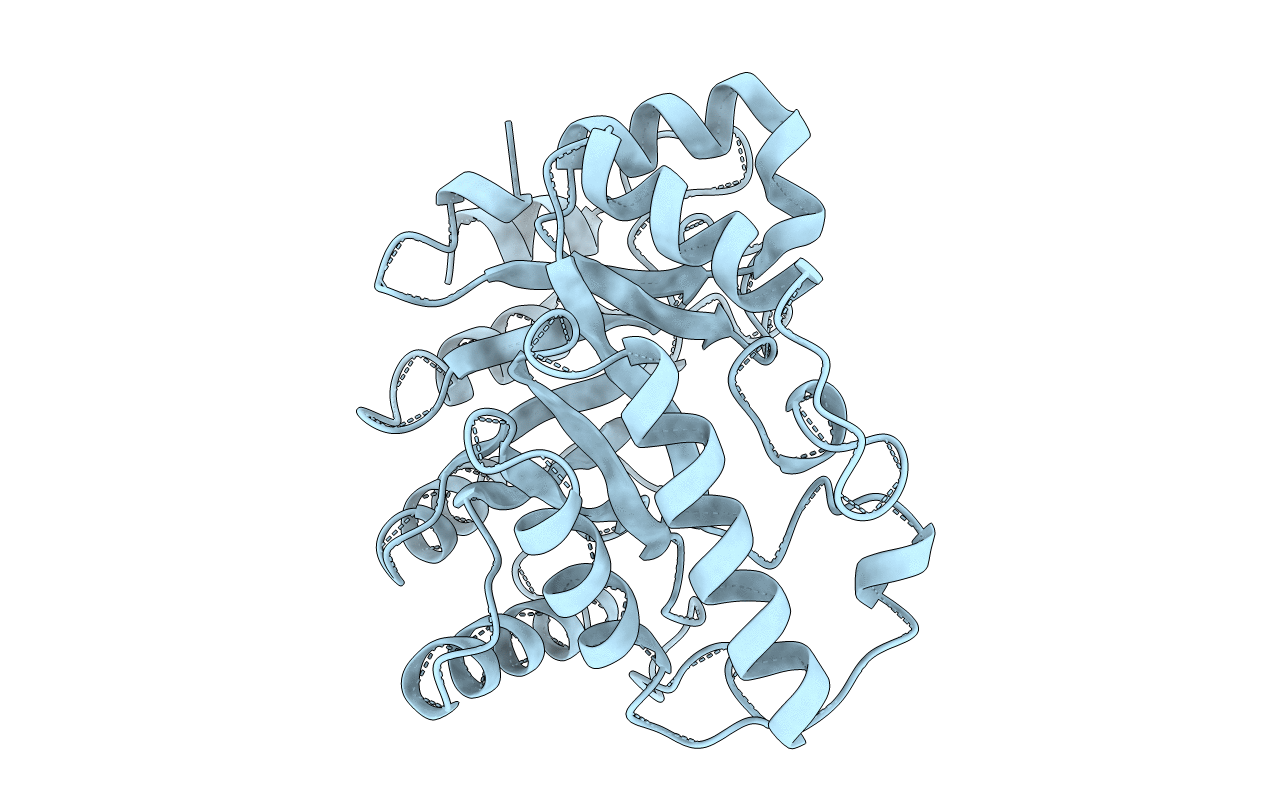 1XAS image