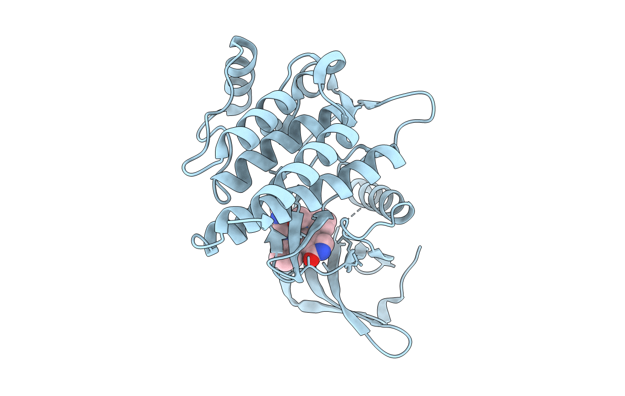 1XBC image