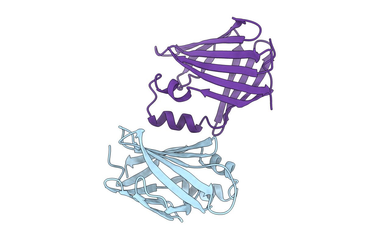 1XCA image