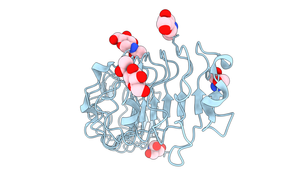 1XCD image