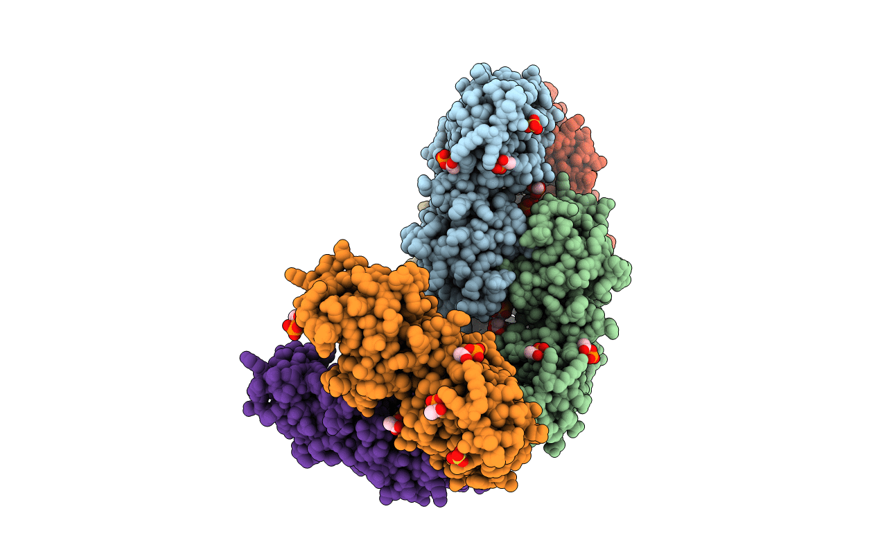 1XCO image