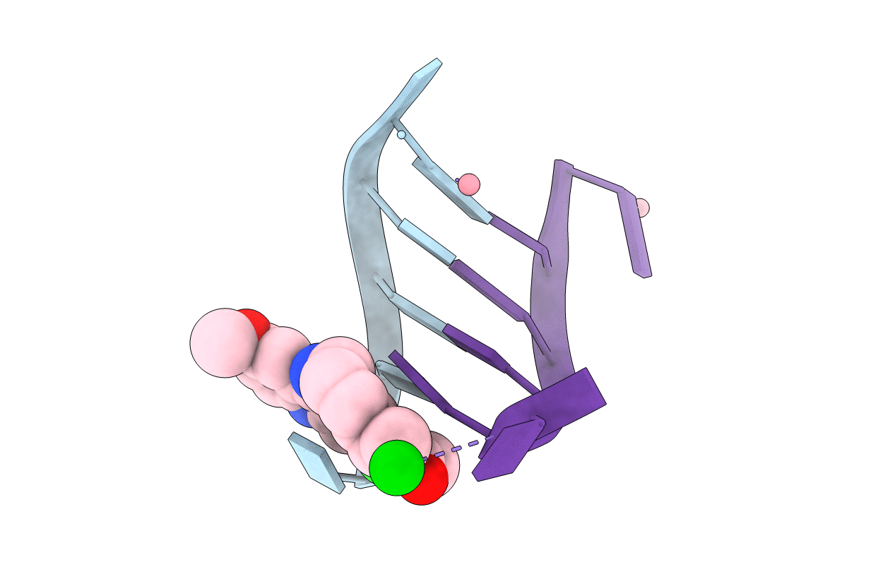 1XCS image