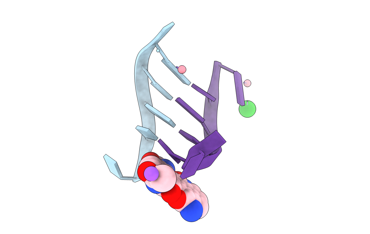 1XCU image