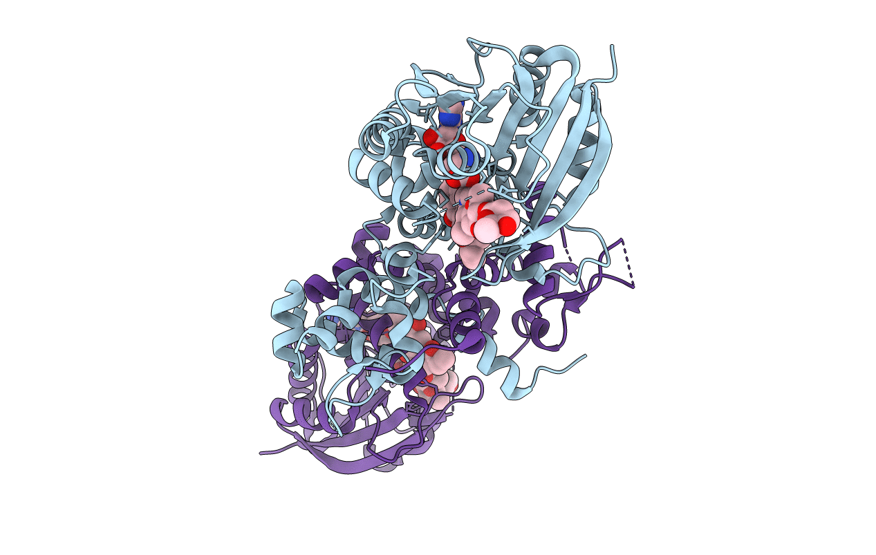 1XDS image