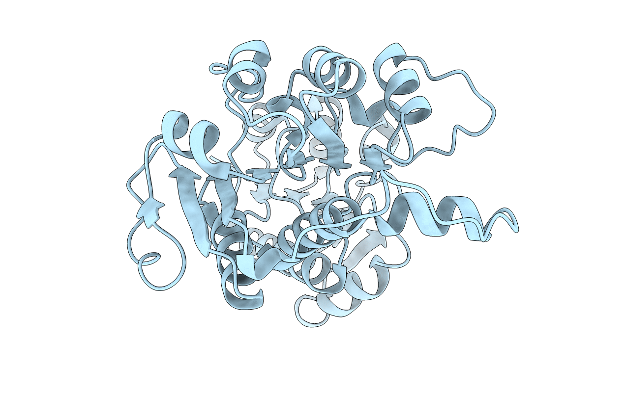 1XDW image
