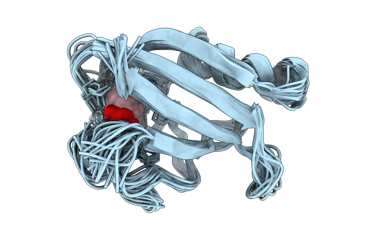 1XFN image