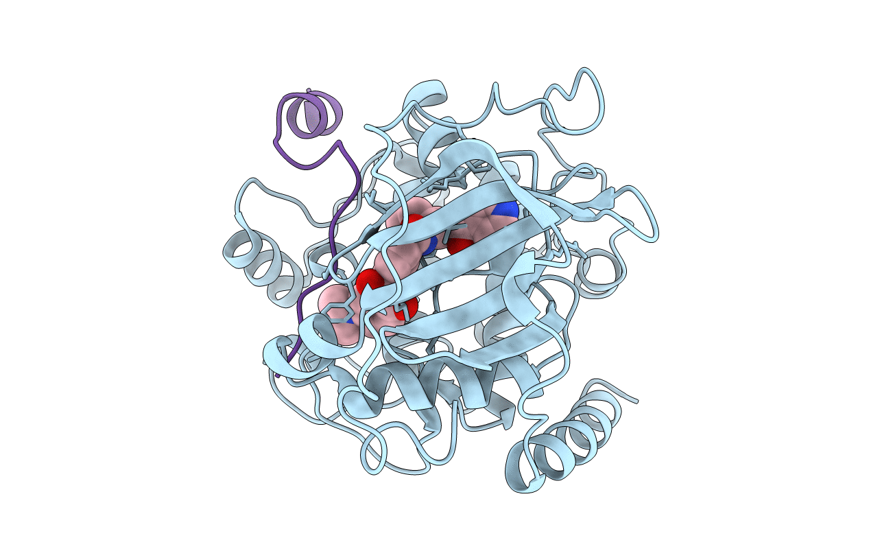 1XH4 image