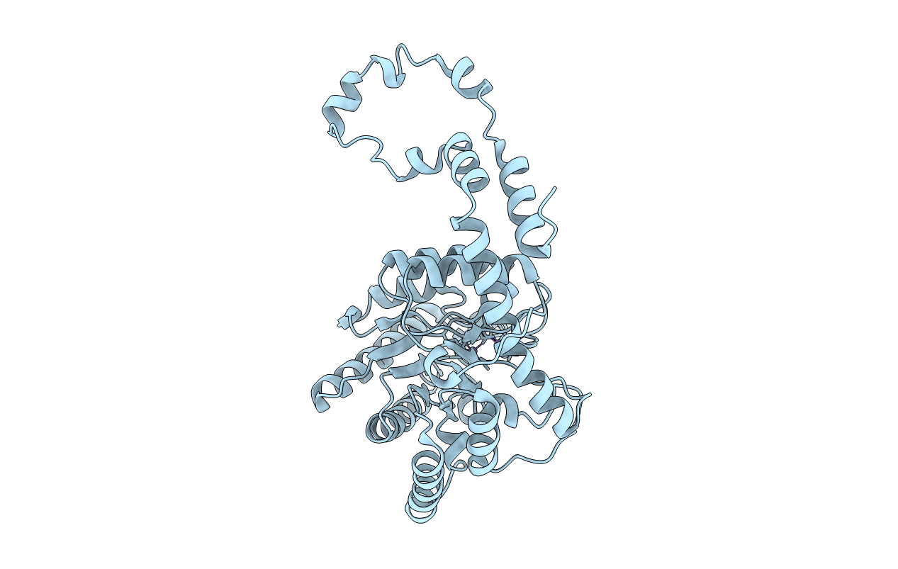 1XIB image