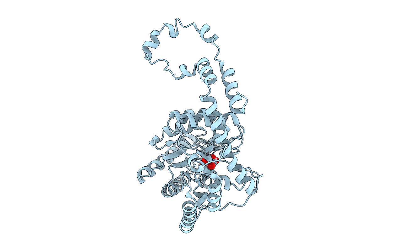1XIJ image