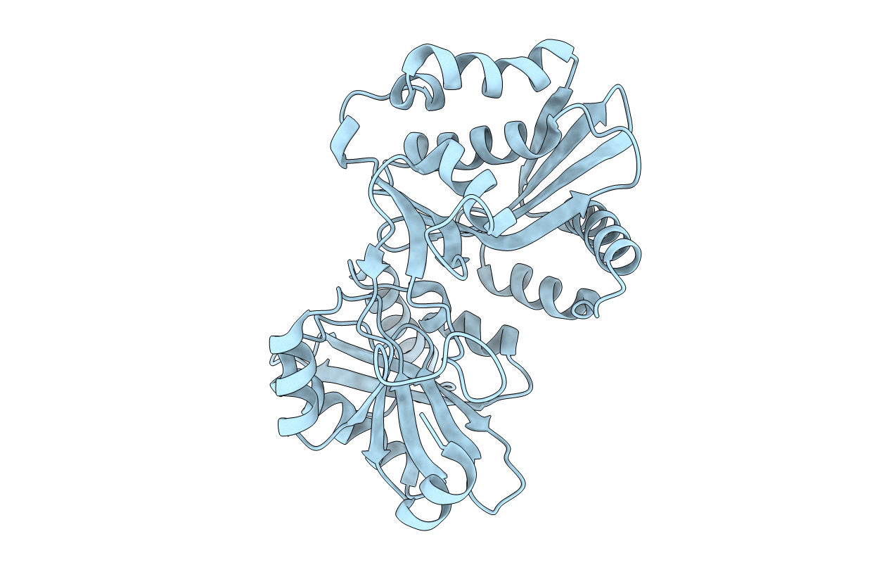 1XIX image