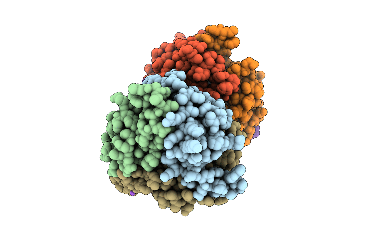 1XK8 image