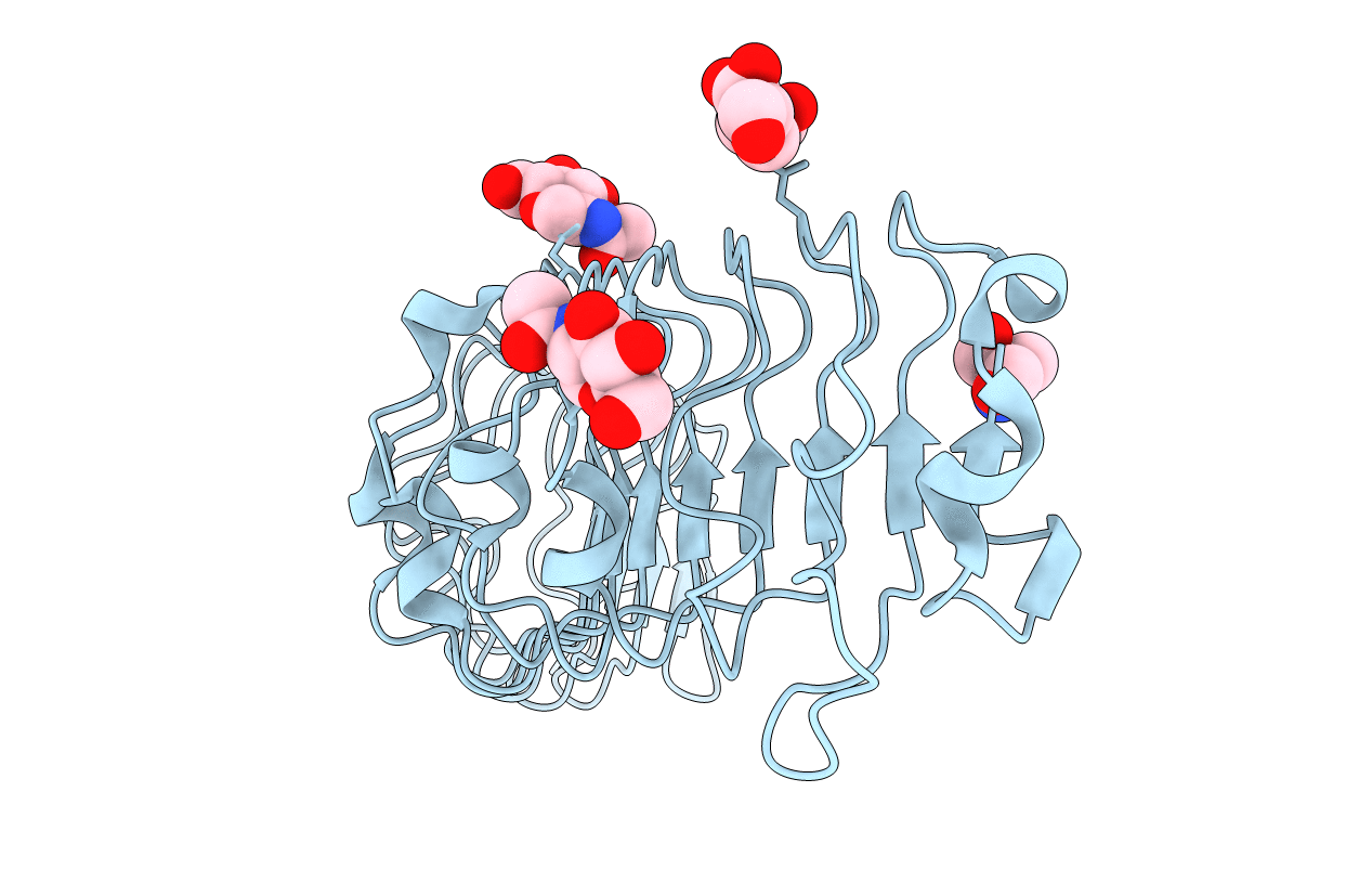 1XKU image