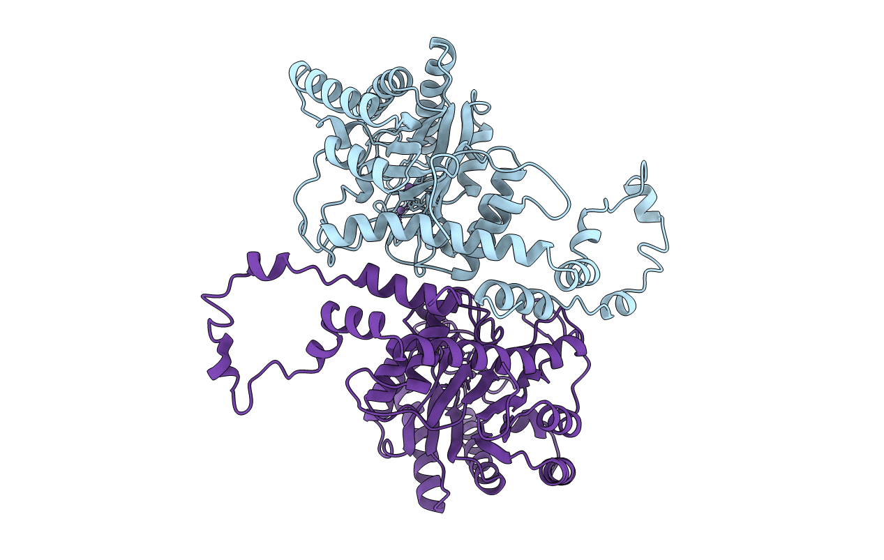 1XLK image