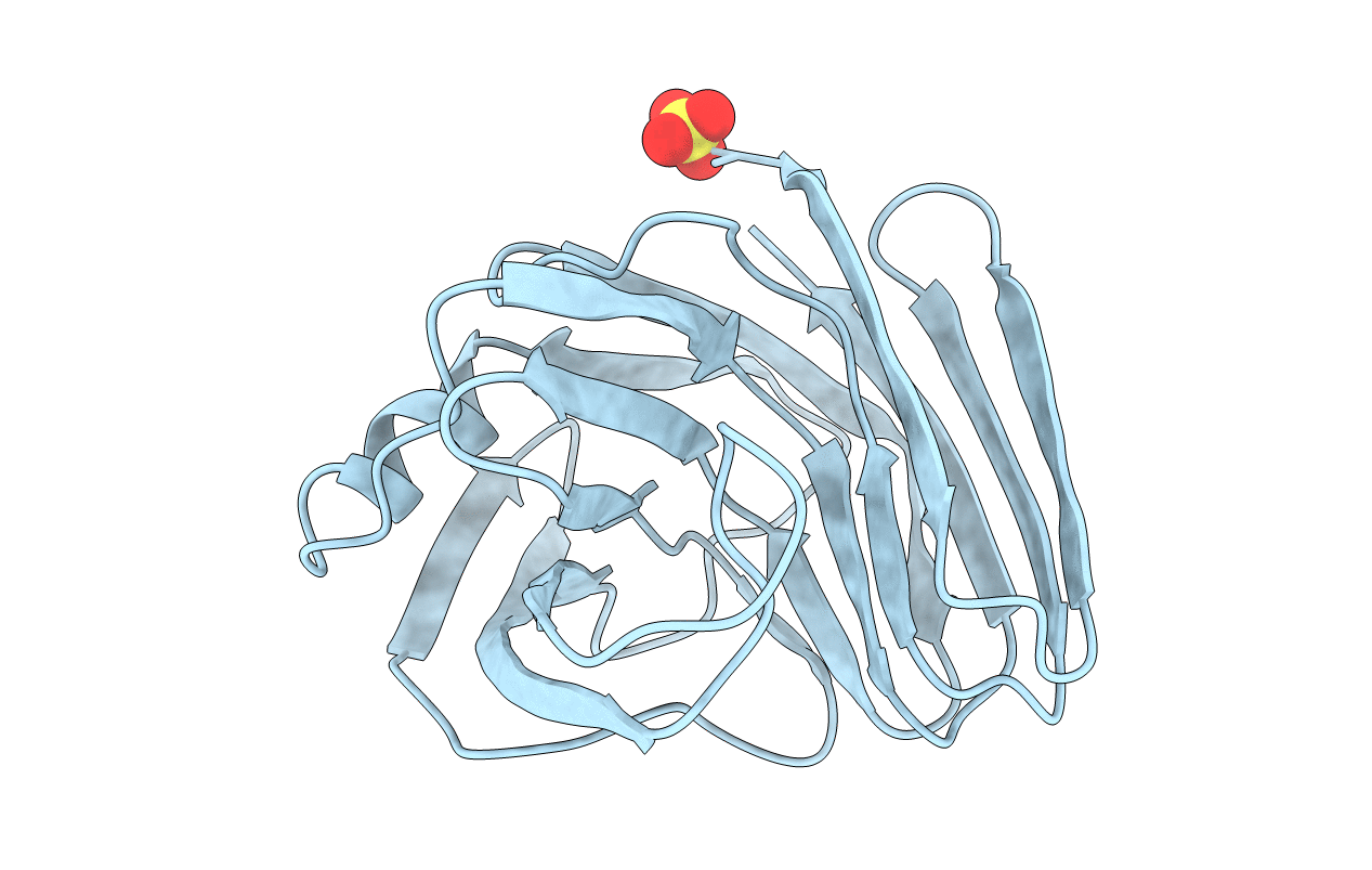 1XNB image