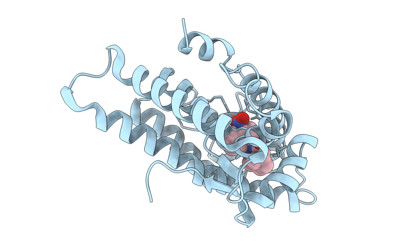 1XNN image