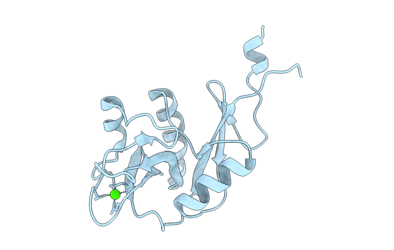 1XPH image