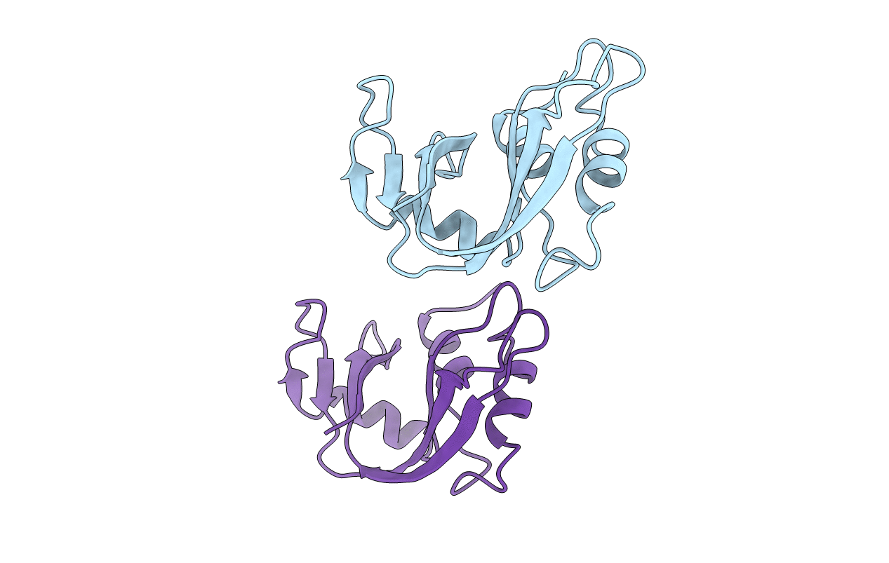 1XPT image