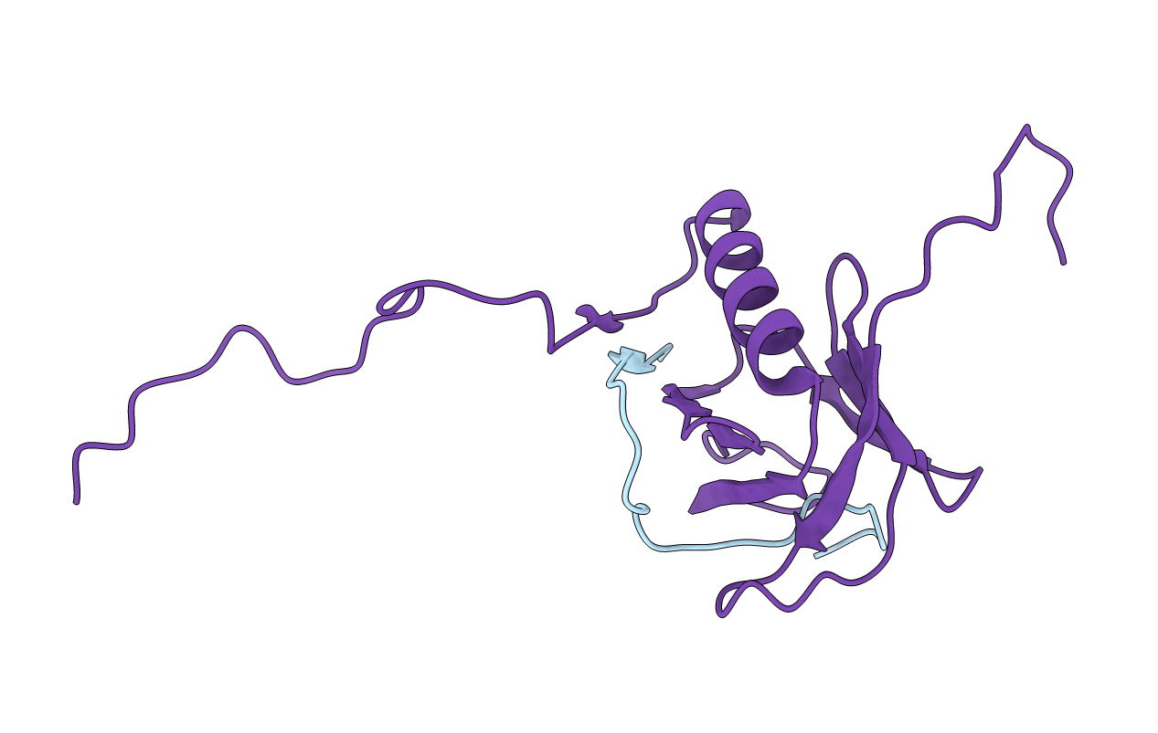 1XR0 image