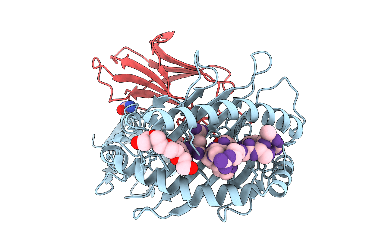 1XR8 image