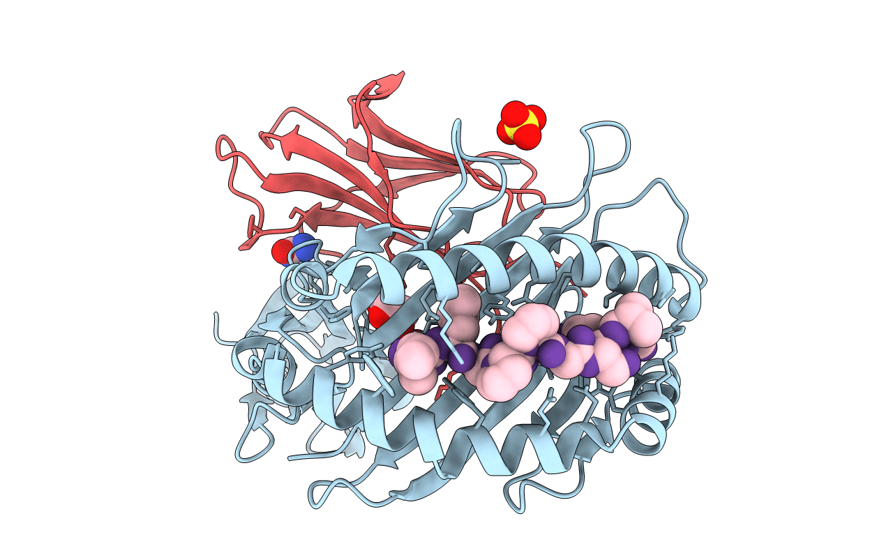1XR9 image