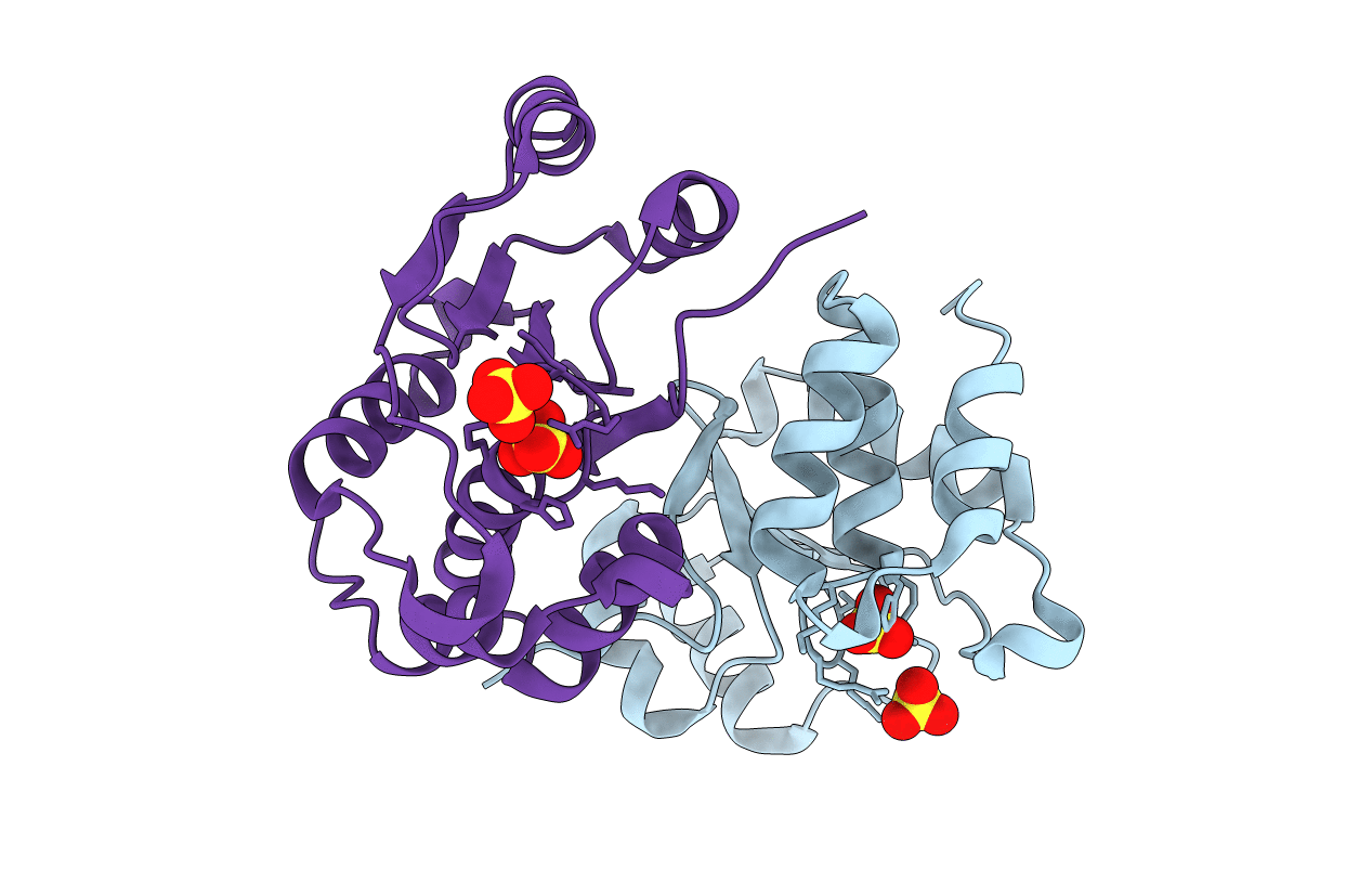 1XRI image