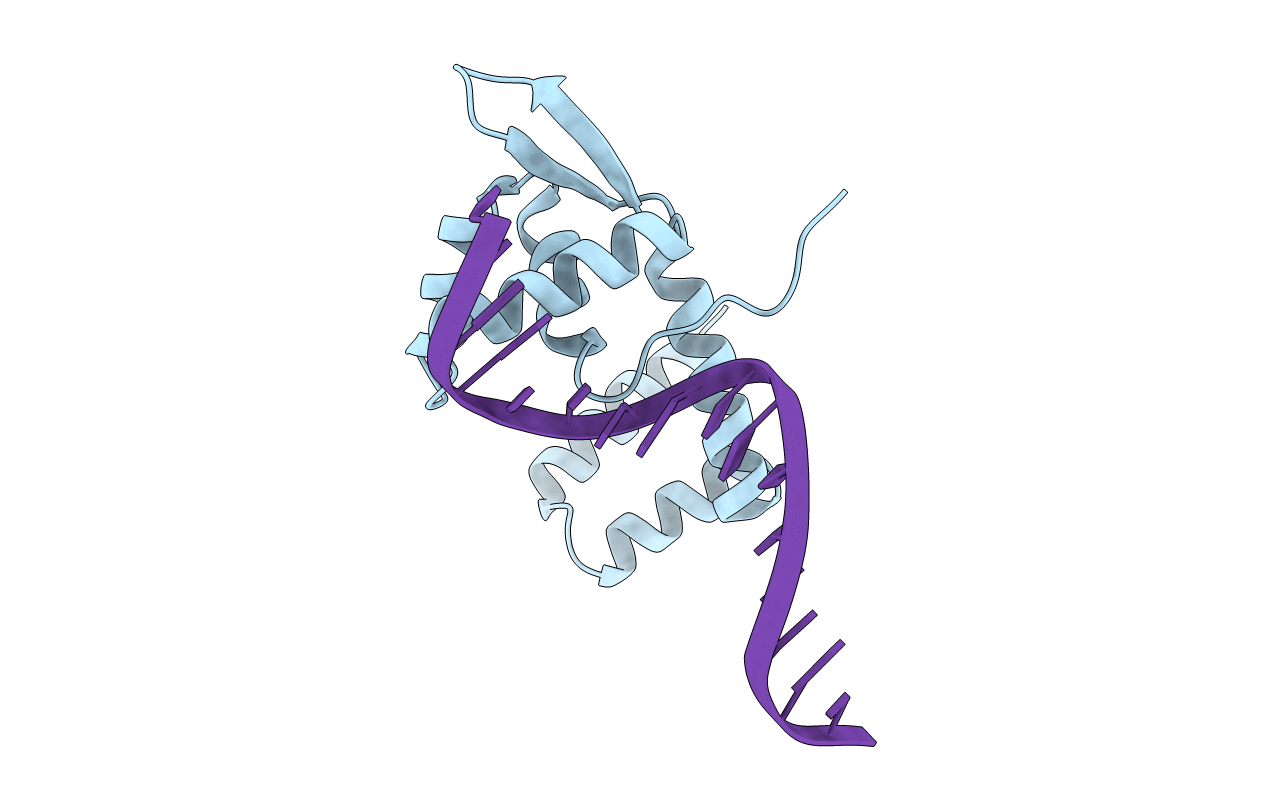 1XSD image