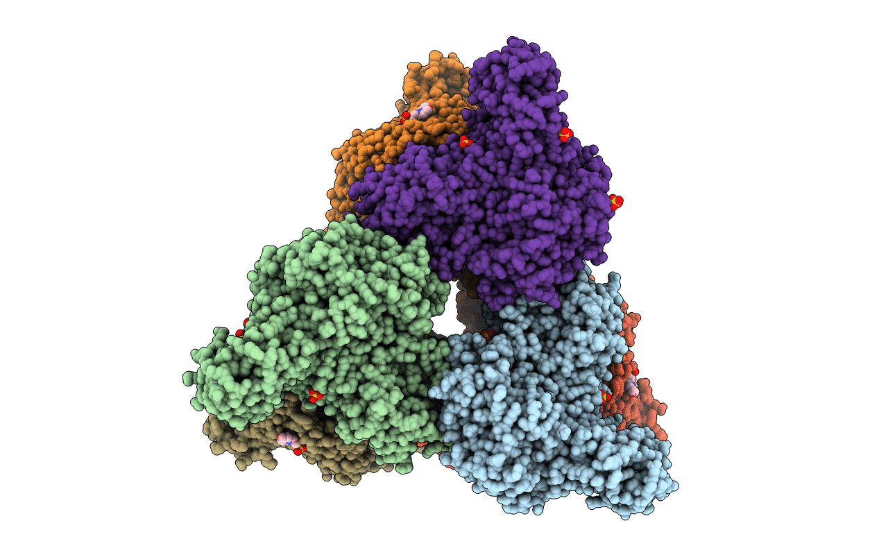 1XSK image