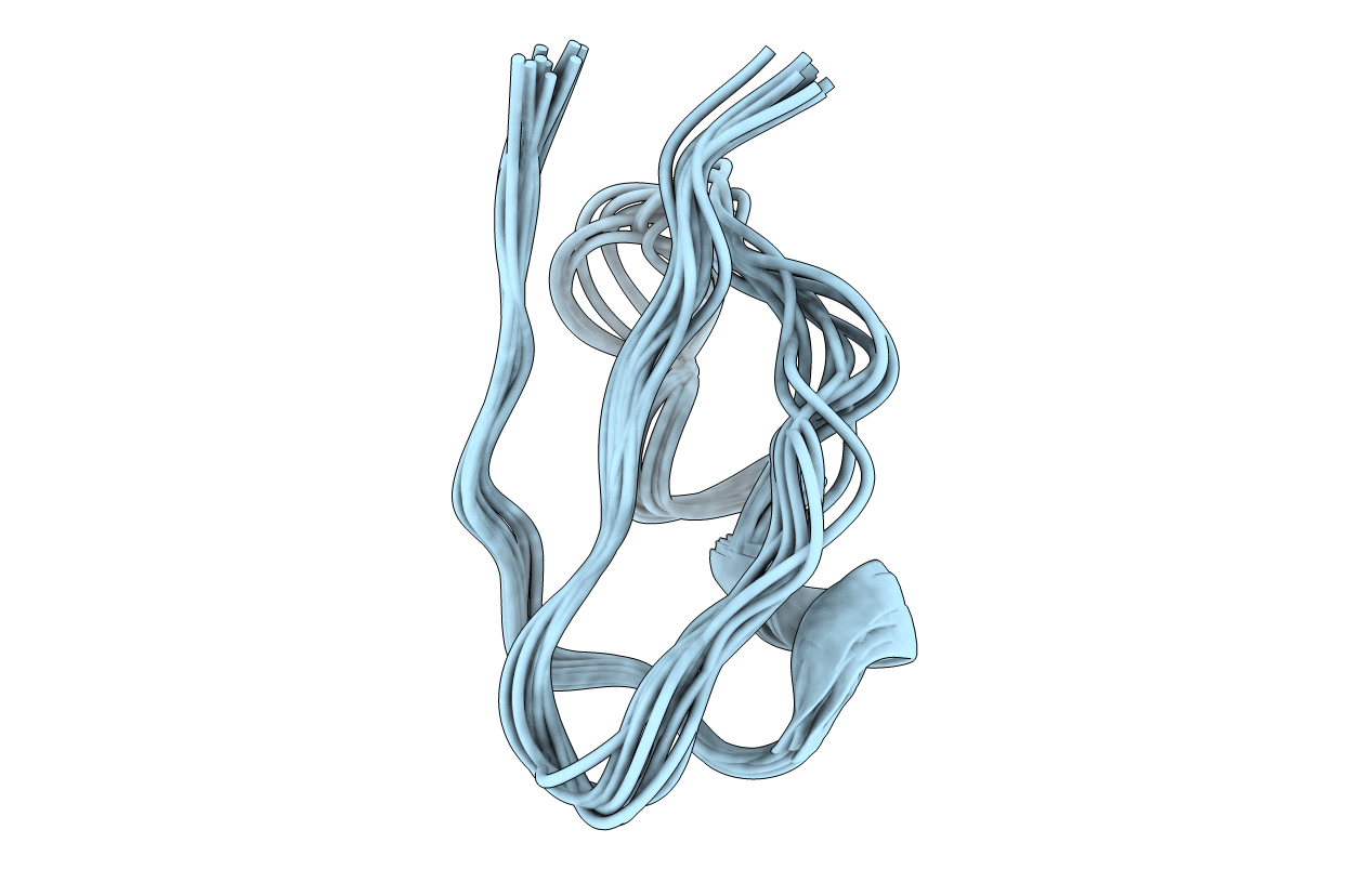 1XSW image