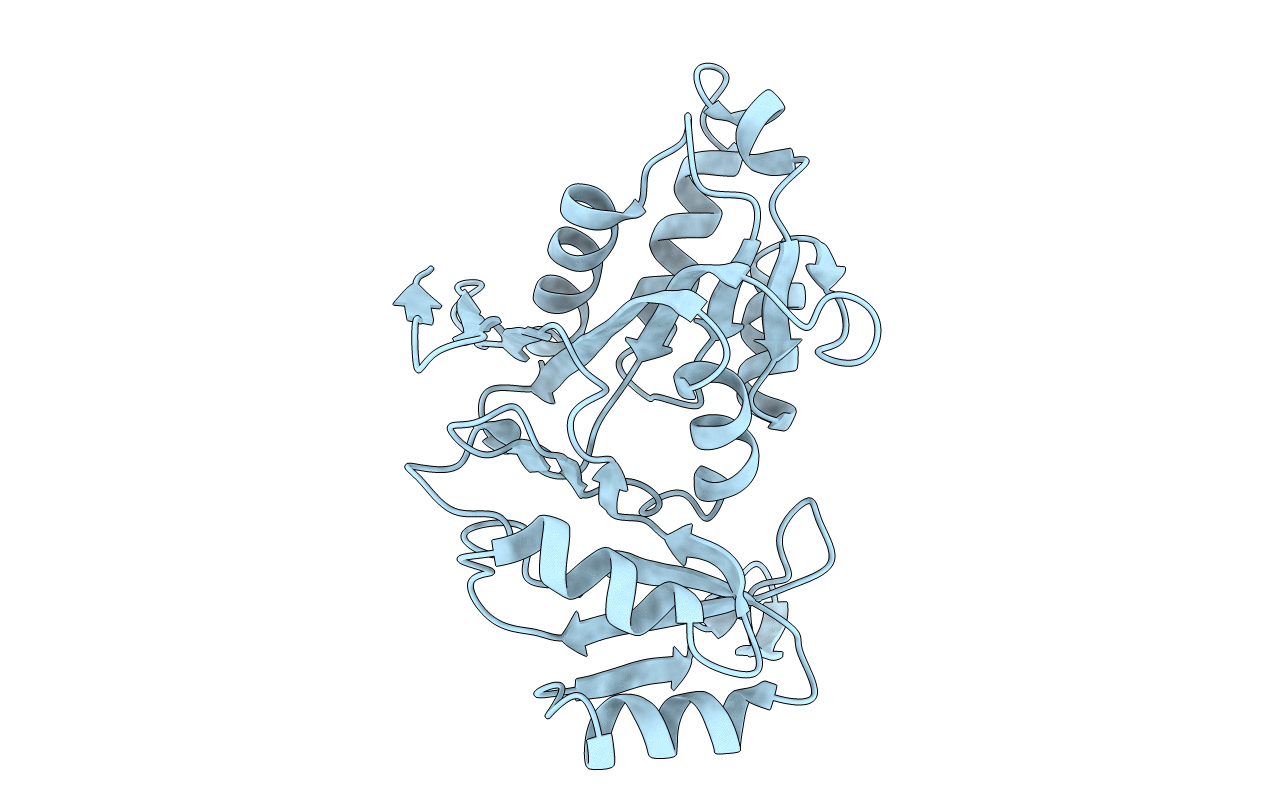 1XTZ image