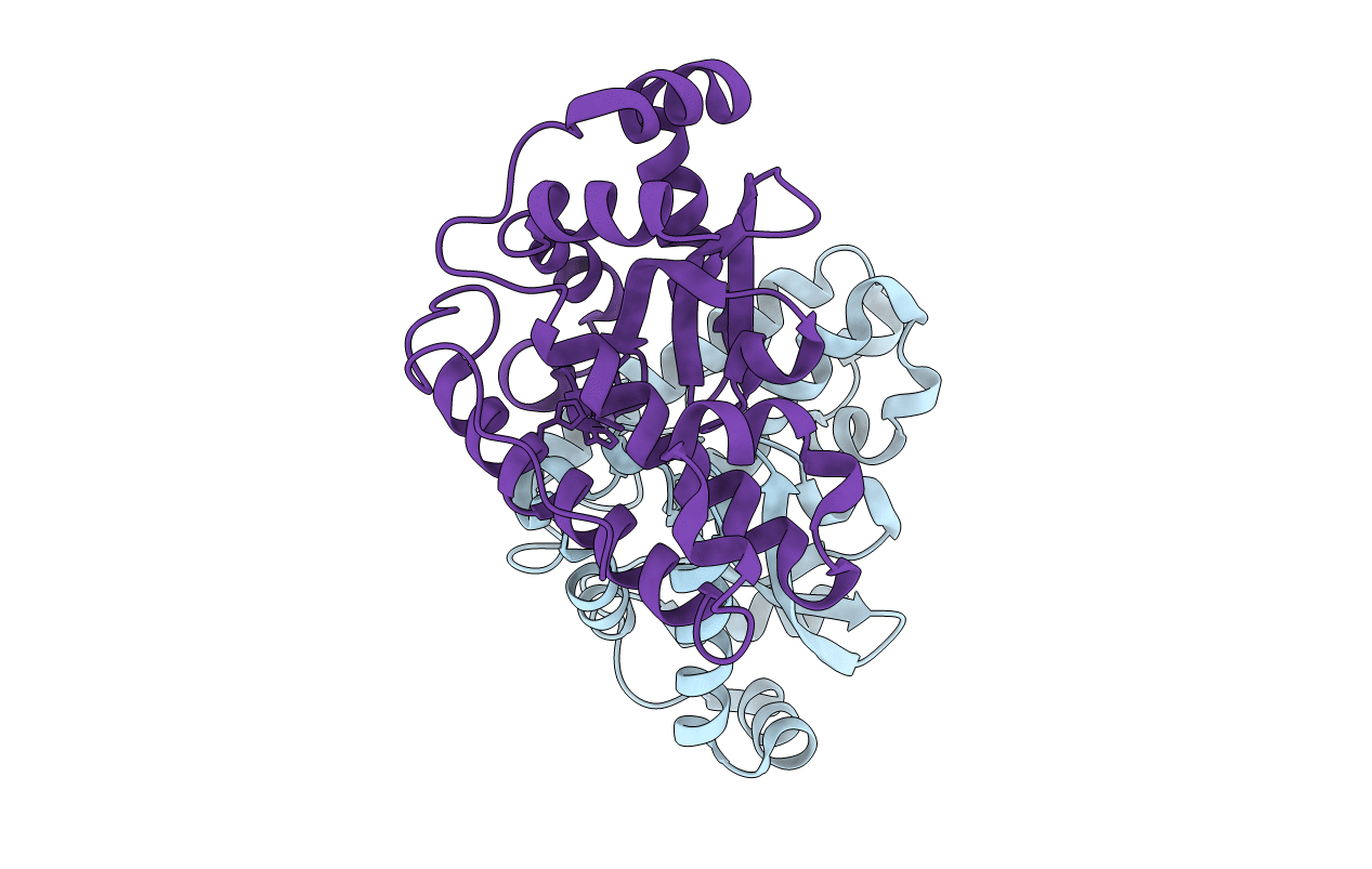 1XUQ image
