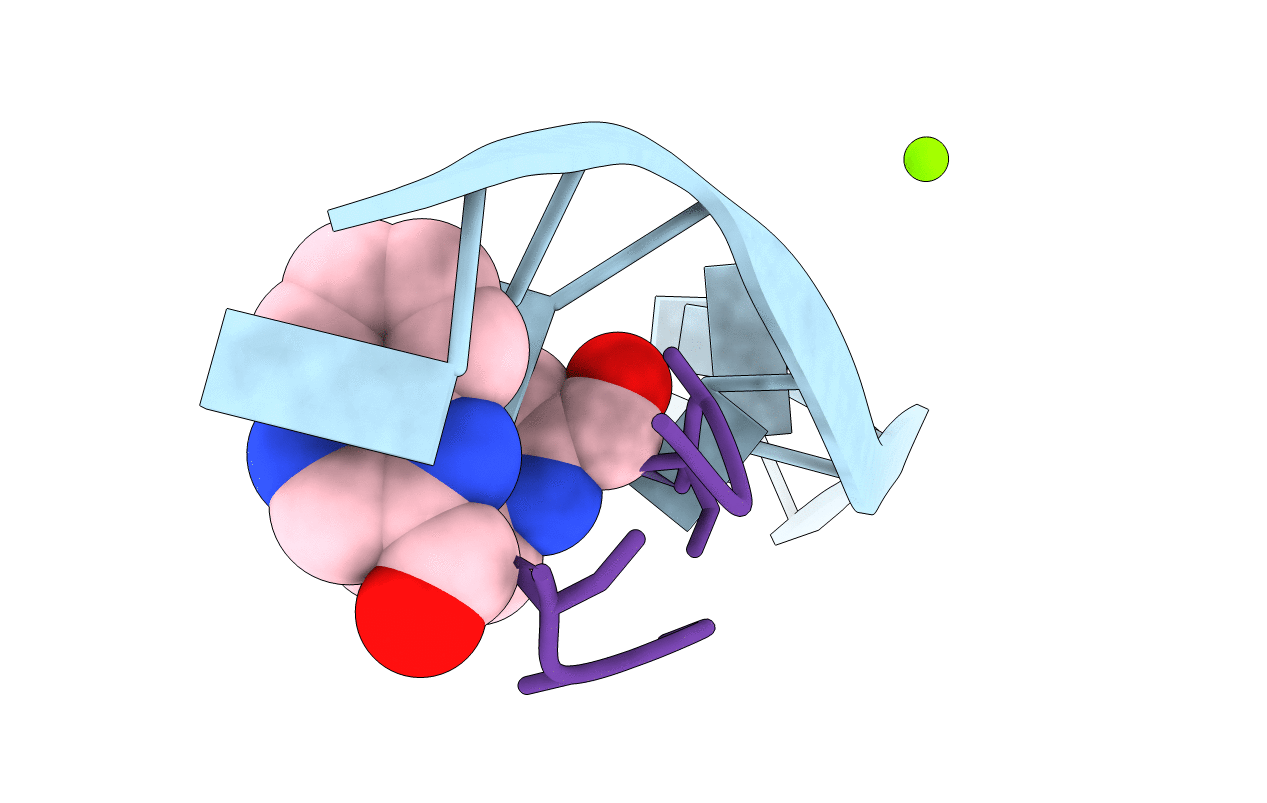 1XVK image