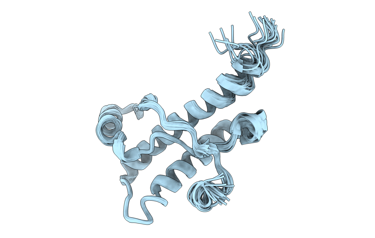 1XYX image