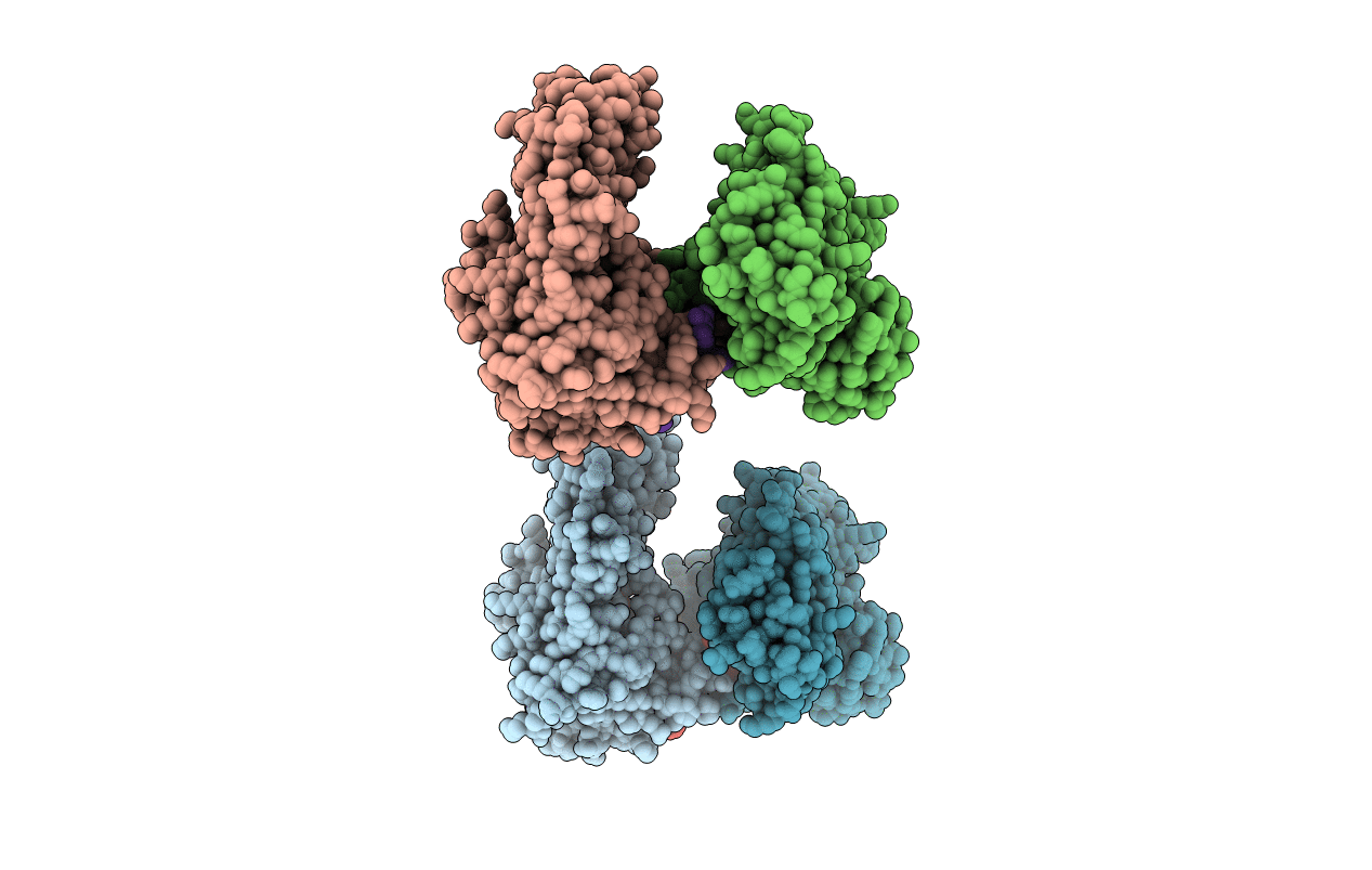 1Y3A image