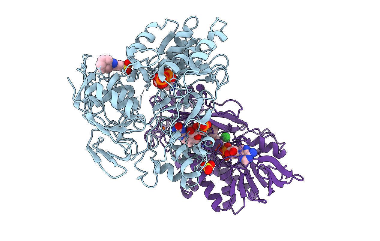 1Y56 image