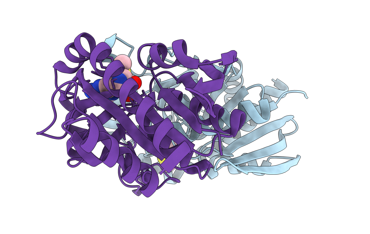 1Y6R image