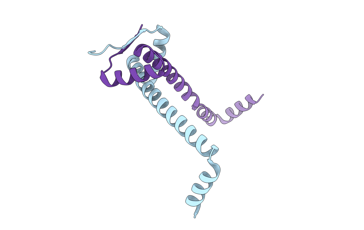 1Y9B image