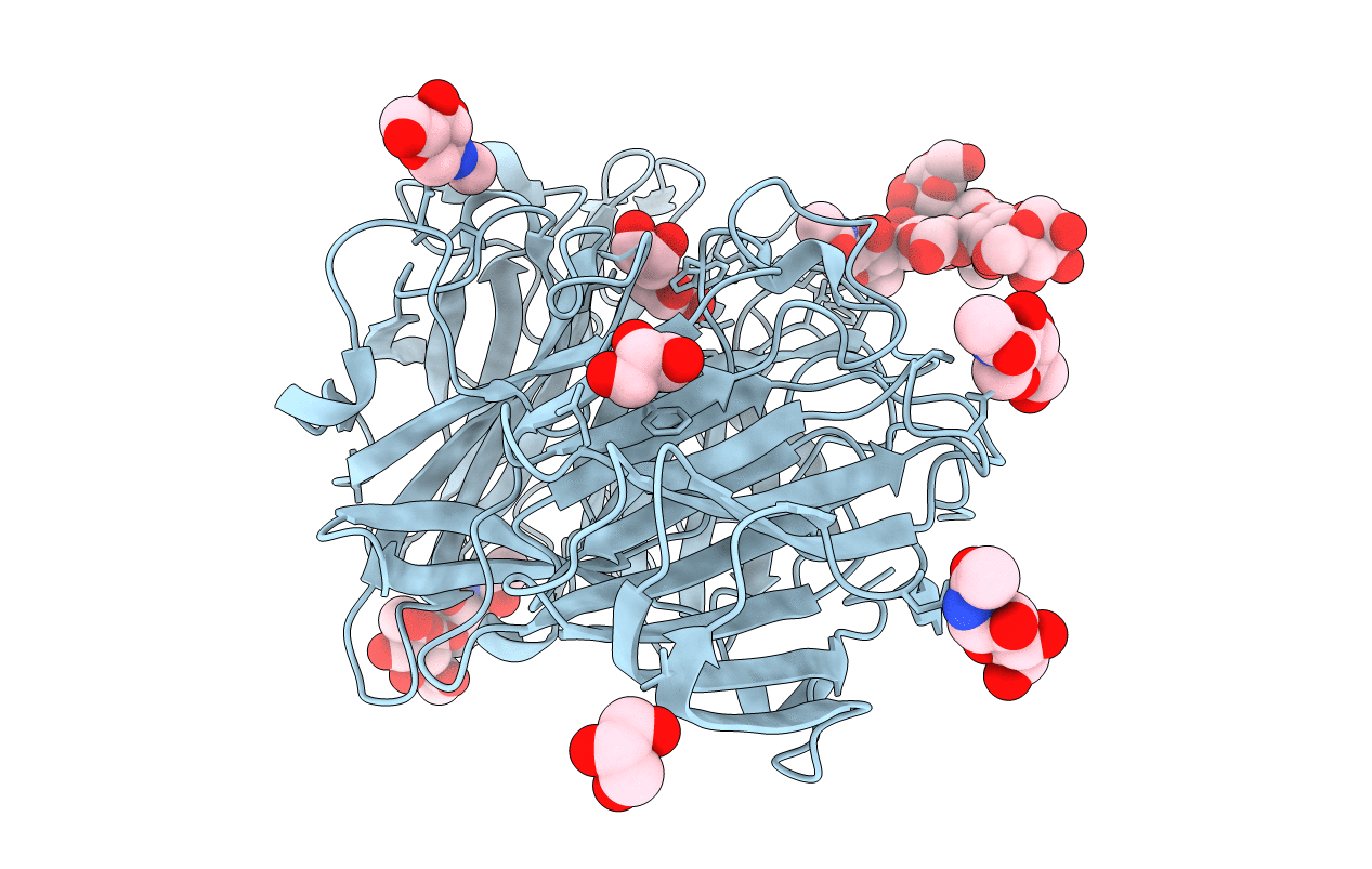 1Y9M image