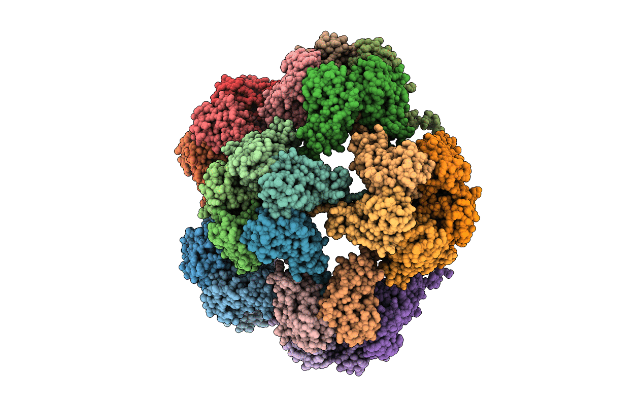 1YC6 image