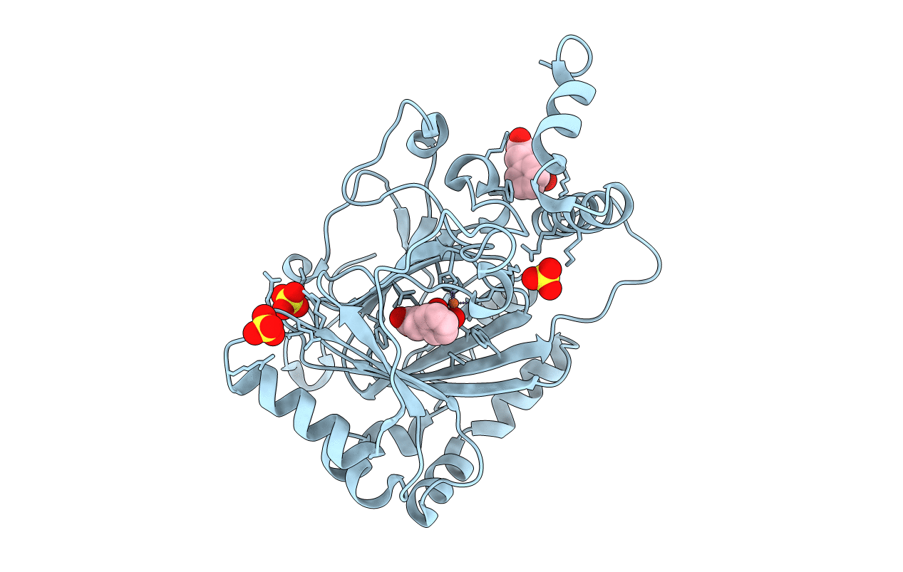 1YCI image